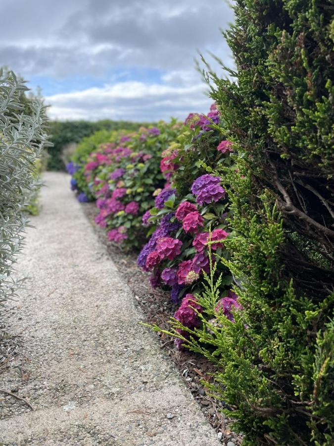 Galloway Farmstay Claunch Newton Stewart Kültér fotó