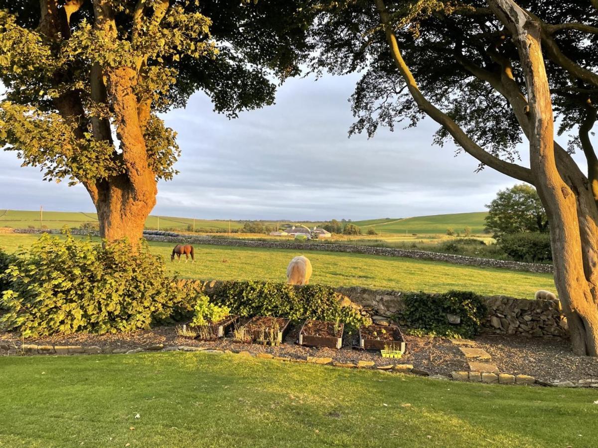 Galloway Farmstay Claunch Newton Stewart Kültér fotó